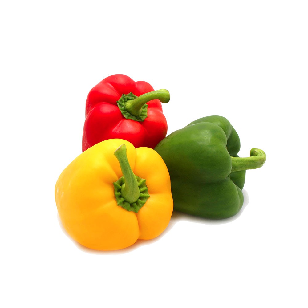 زغال اخته - تصویر 4