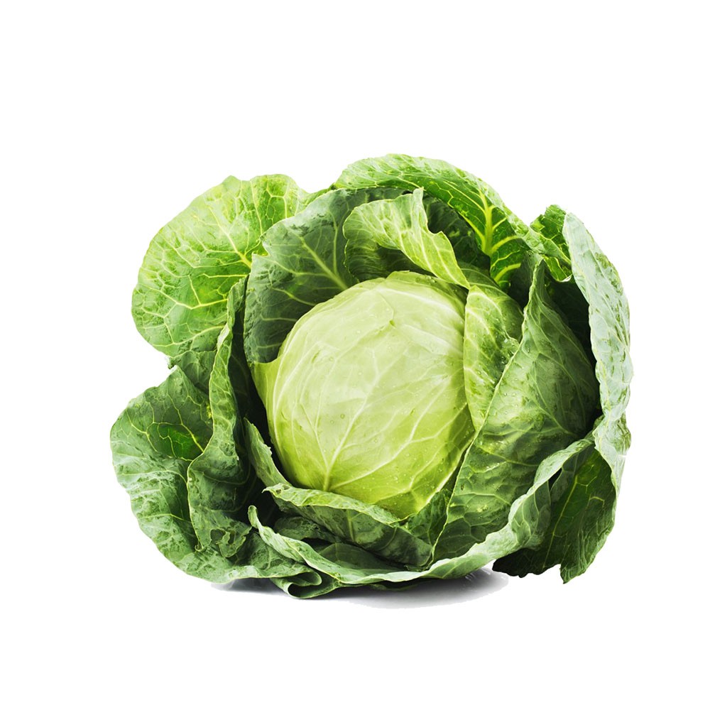 ذرت - تصویر 3