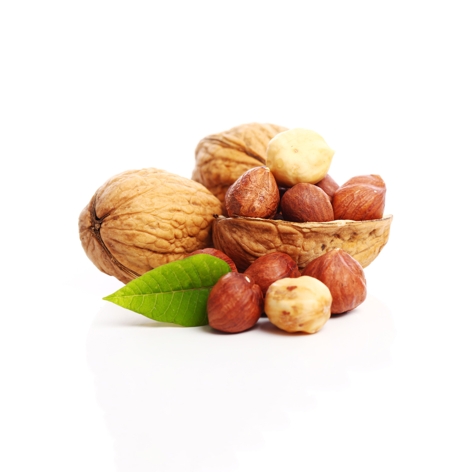 نیمه گردوی کالیفرنیا - تصویر 2