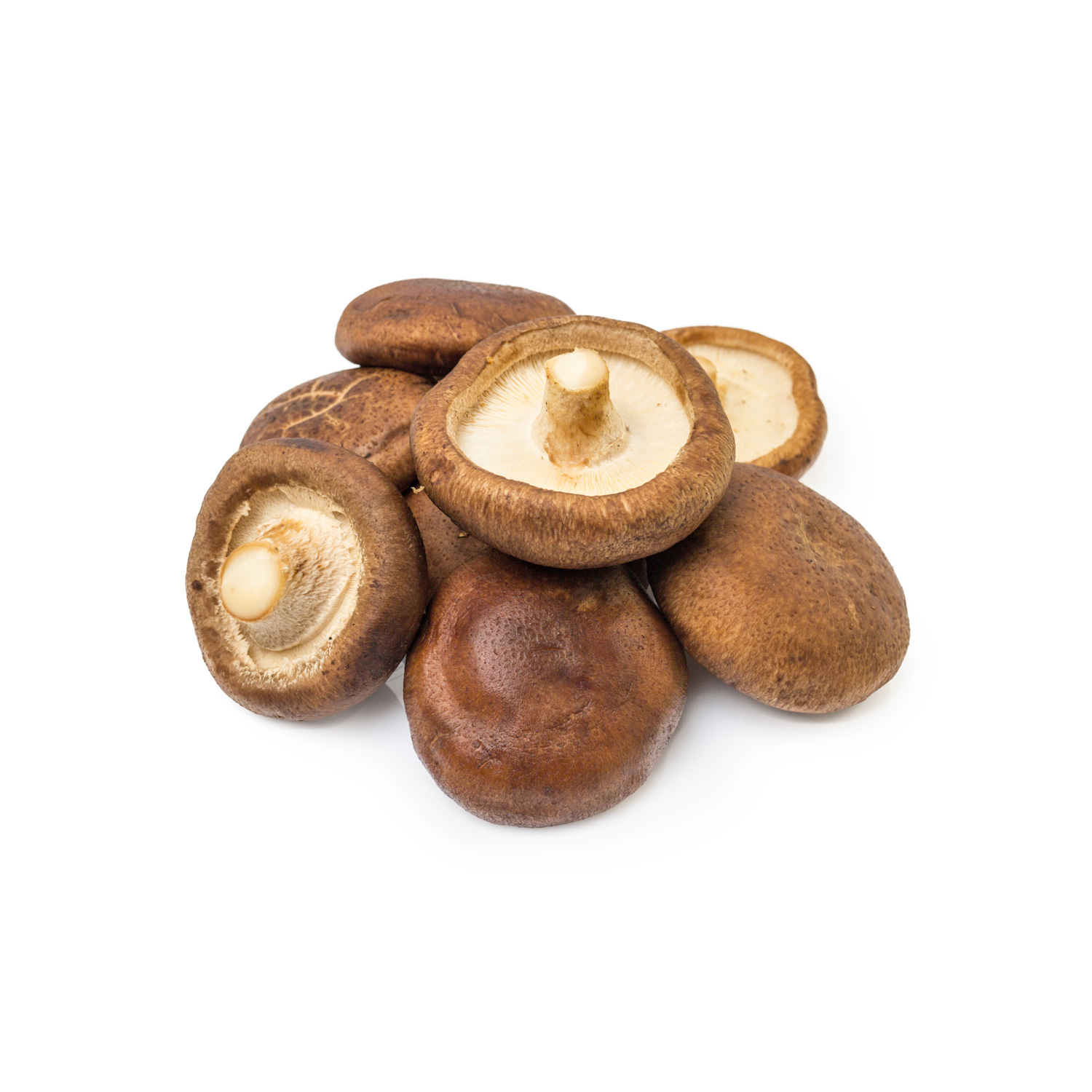 نیمه گردوی کالیفرنیا - تصویر 4